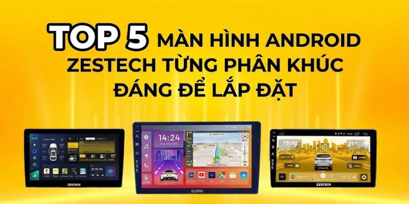 top 5 màn Zestech